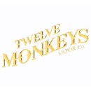 Twelve Monkeys