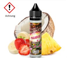 Twelve Monkeys PARADISE Aroma 10ml