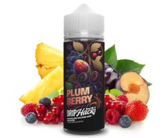 DRIP HACKS Plum Berry Aroma 10ml